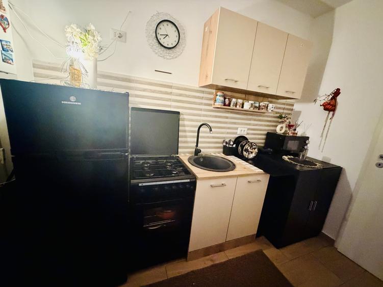 Apartament 2 camere Str Tineretului mobilat și utilat complet zona liniștită - 9