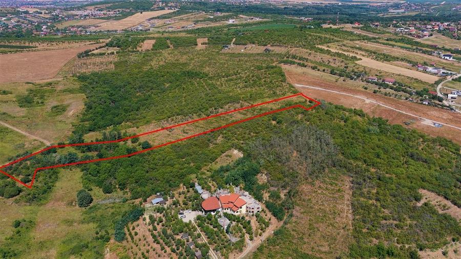 Teren Construcții intravilan de 10391 mp, în Săldăbagiu de Munte
