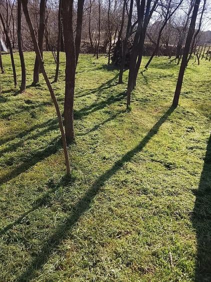 Teren de 1745 mp, în Voivodeni