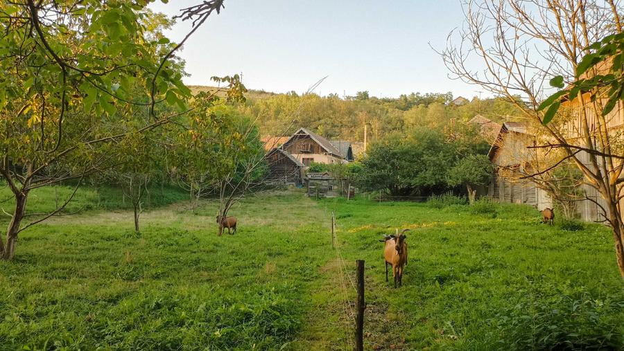 Casă în Cojocna