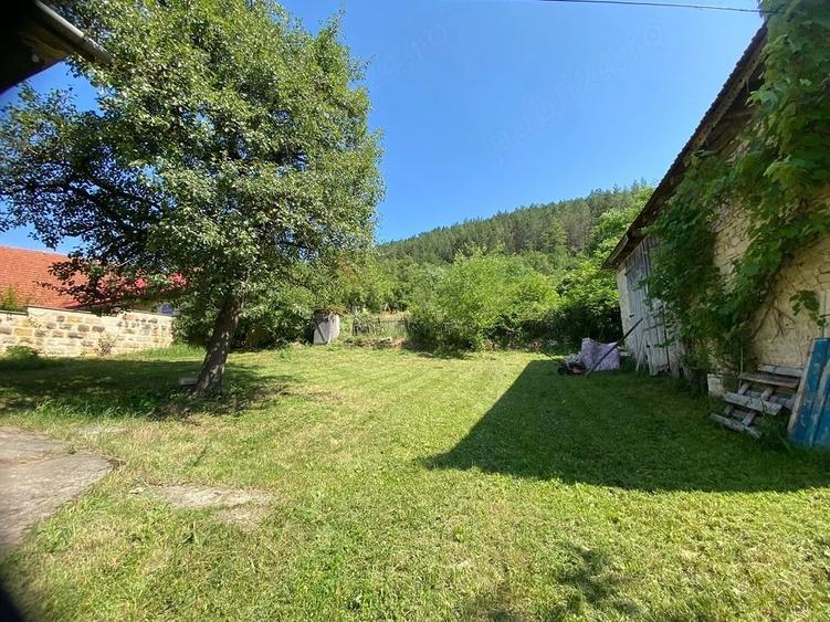 Casă cu 3 camere cu Teren 2350 Mp în Viștea