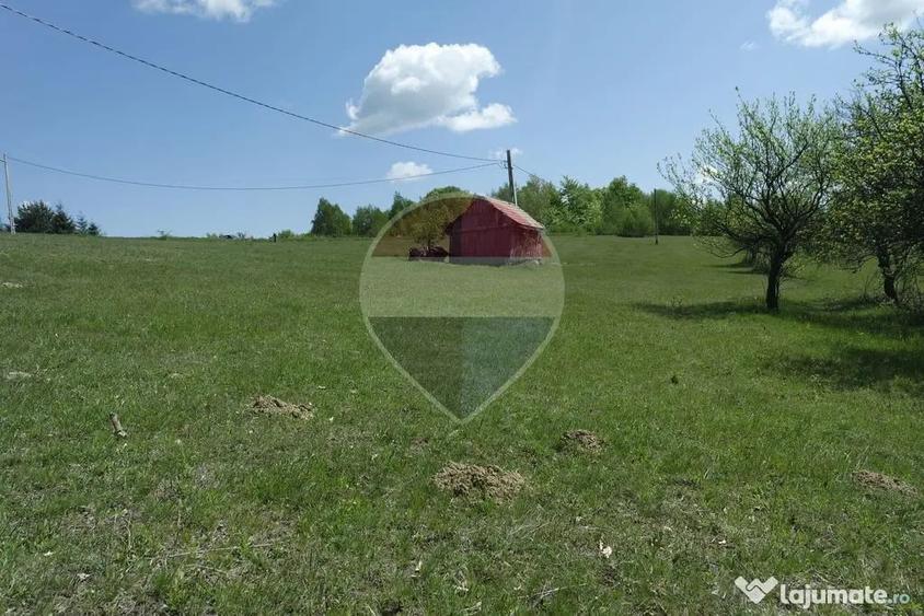 Teren în Preluca Nouă
