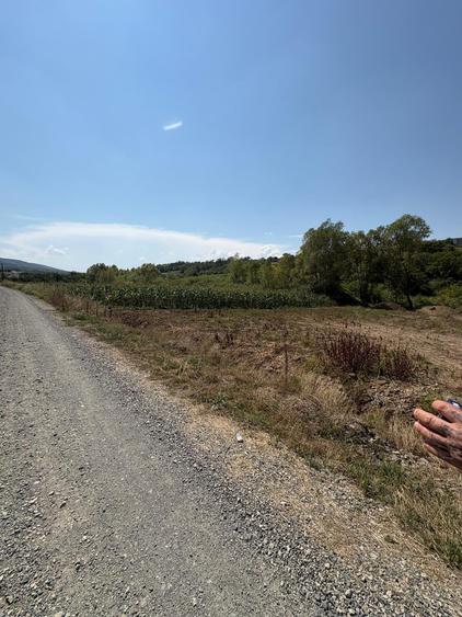 Teren Construcții intravilan de 775 mp, în Ortelec