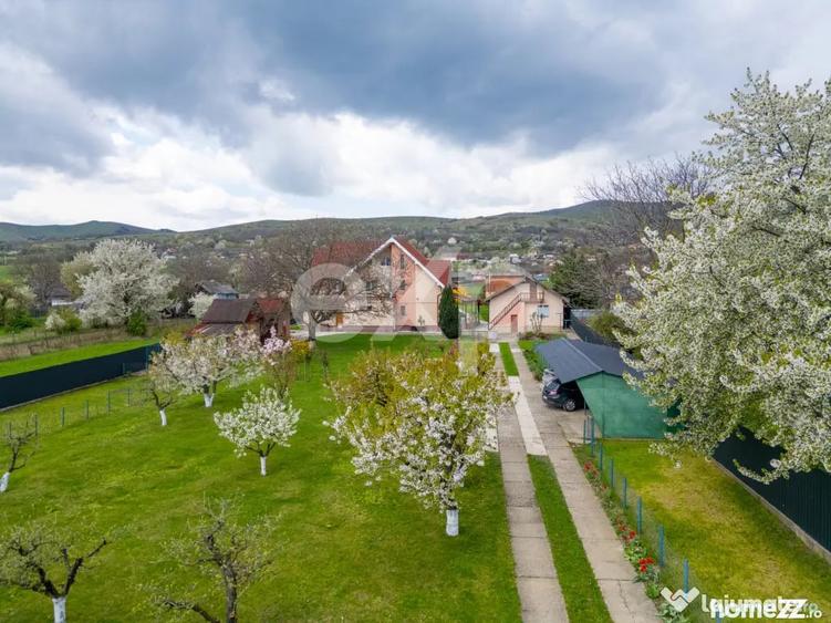 Casă cu 5 camere cu Teren 3659 Mp în Sărata