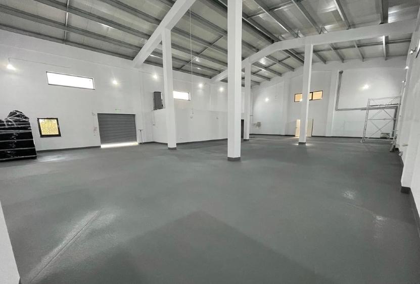 Spațiu industrial, de 600 mp, în Moara Vlăsiei