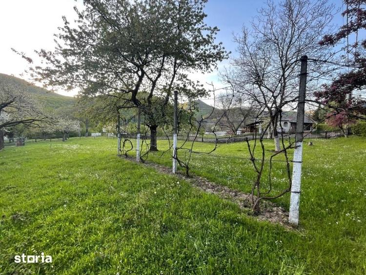 Teren de 1590 mp, în Firiza