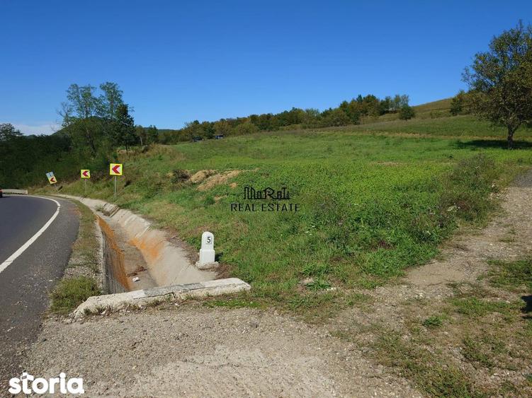 Teren de 8757 mp, în Luncoiu de Jos
