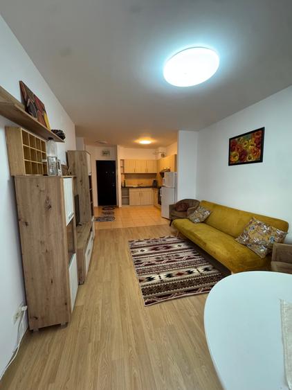 De inchiriat! Apartament 2 camere, Tatarasi, mobilat - 2