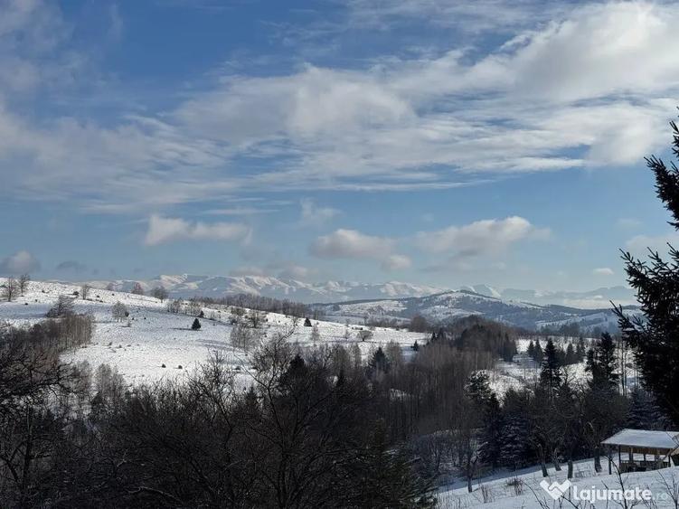 Casă cu 4 camere cu Teren 1402 Mp în Gărâna