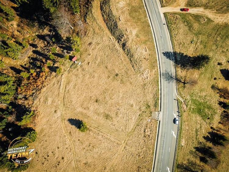 Teren Construcții intravilan de 5800 mp, în Ojdula