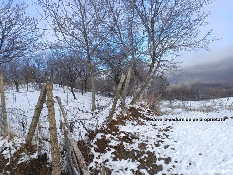 Teren de 2500 mp, în Dealu Cucului