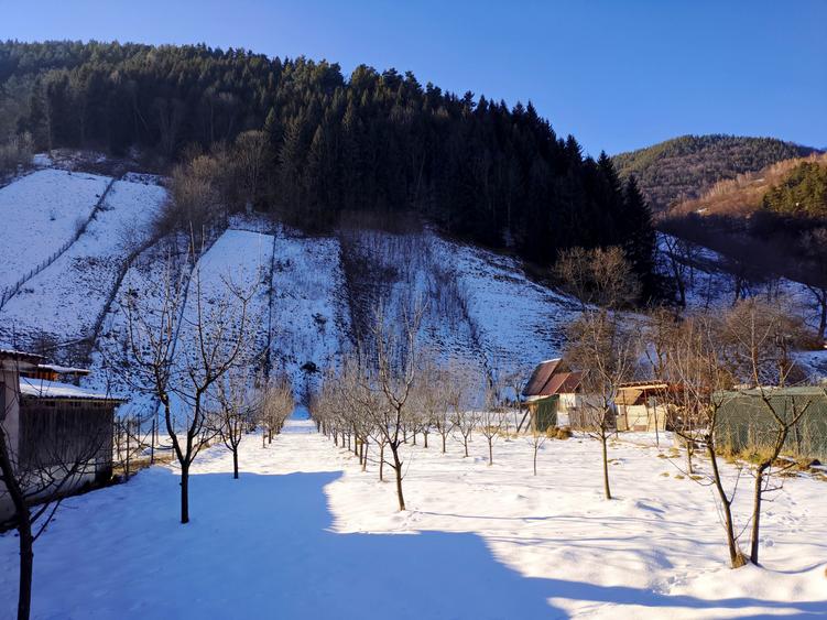 Teren Construcții intravilan de 1700 mp, în Râu Sadului