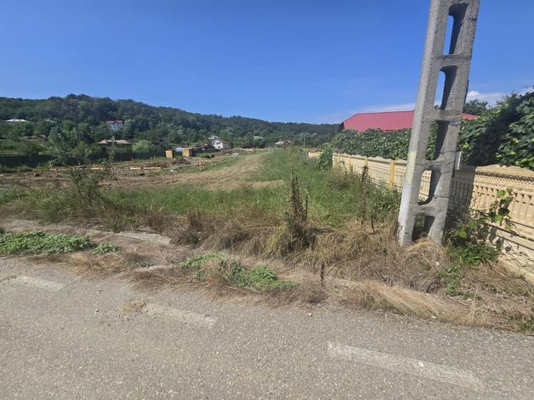 Teren Construcții intravilan de 2131 mp, în Băbana