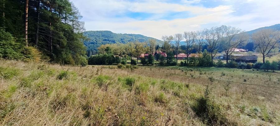 Teren Construcții intravilan de 20000 mp, în Brădet