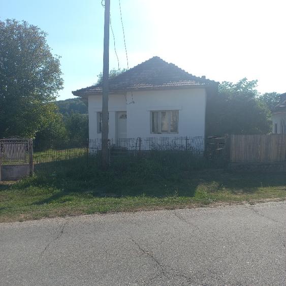 Casă individuală cu 3 camere cu Teren 7000 Mp în Vâlsănești