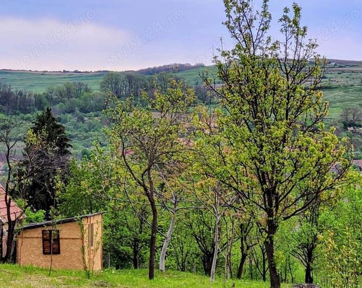 Teren de 2200 mp, în Central