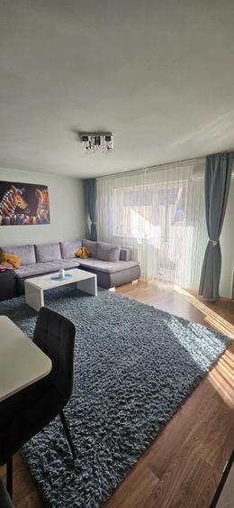 Apartament cu 2 camere decomandat în Dosu Bricii