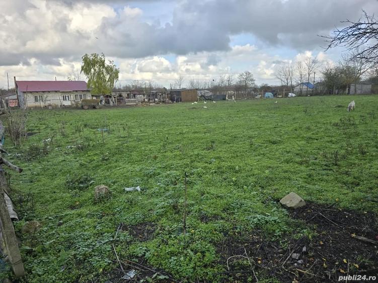 Teren de 2500 mp, în Bărăganu