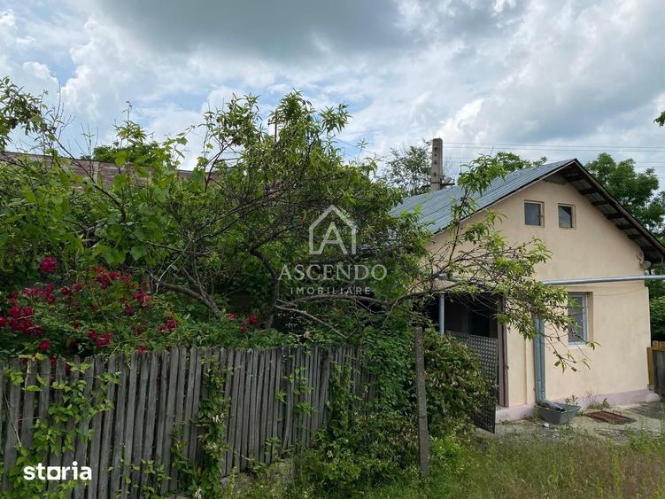 Teren de 15900 mp, în Năeni