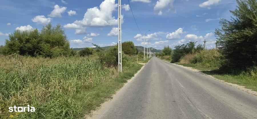 Vand teren Stefanesti, Arges, parcelabil, strada sticlelor, 18600mp - 5