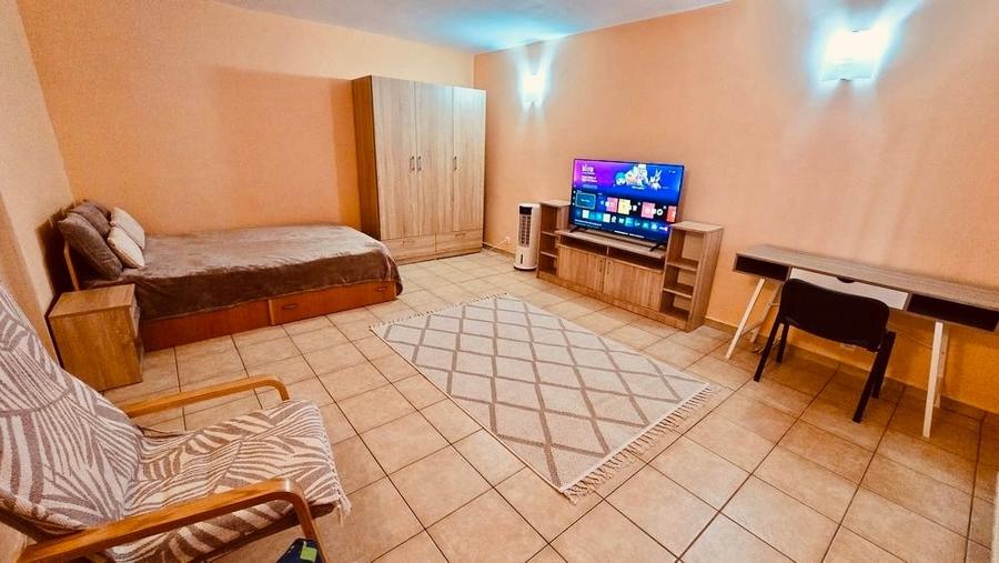 Garsonieră decomandată, mobilată în Dristor