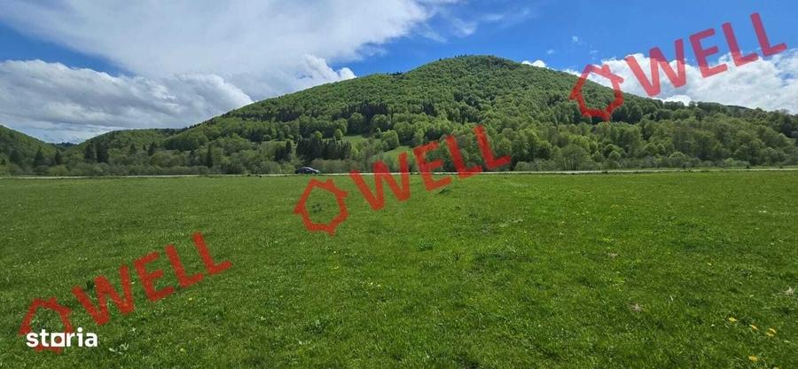 Spațiu comercial, în Vama Buzăului