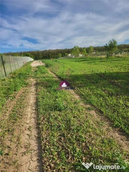 Casă cu Teren 5600 Mp în Ciofliceni