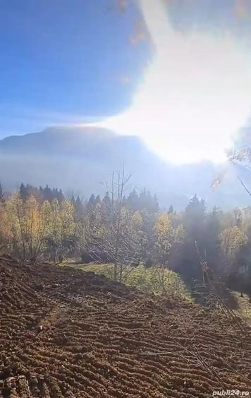 Teren de 3900 mp, în Sud