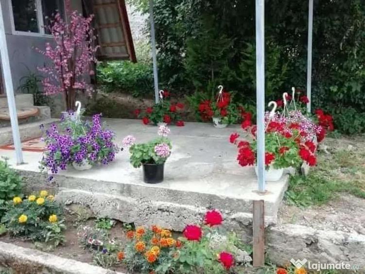 Casă cu 5 camere în Bonț