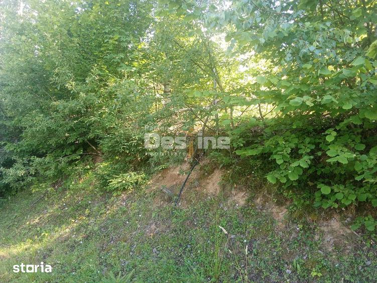 Teren de 3200 mp, în Moisei