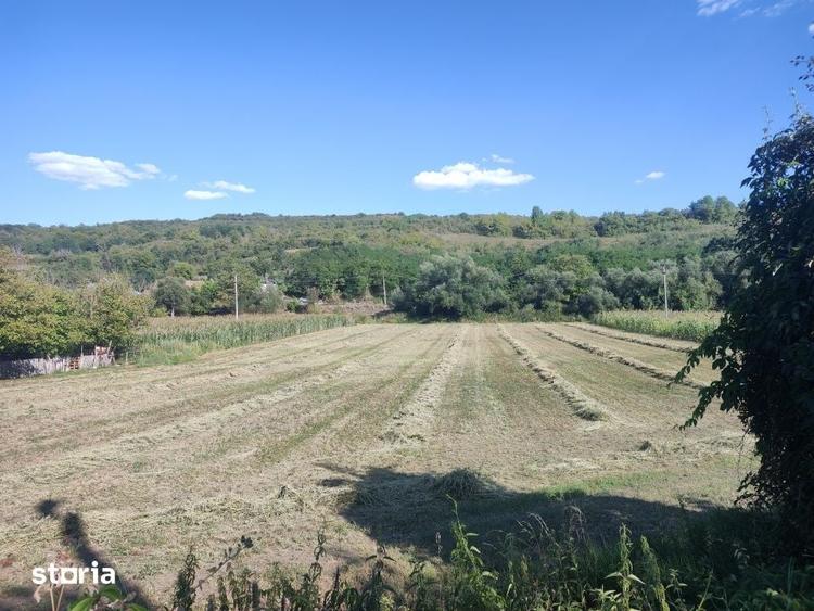 Teren de 1900 mp, în Țaga