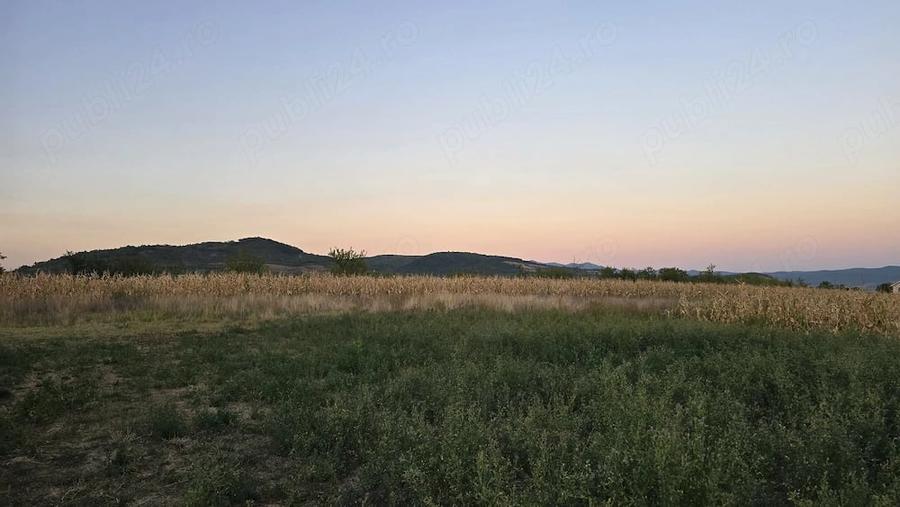 Teren de 2600 mp, în Mintia