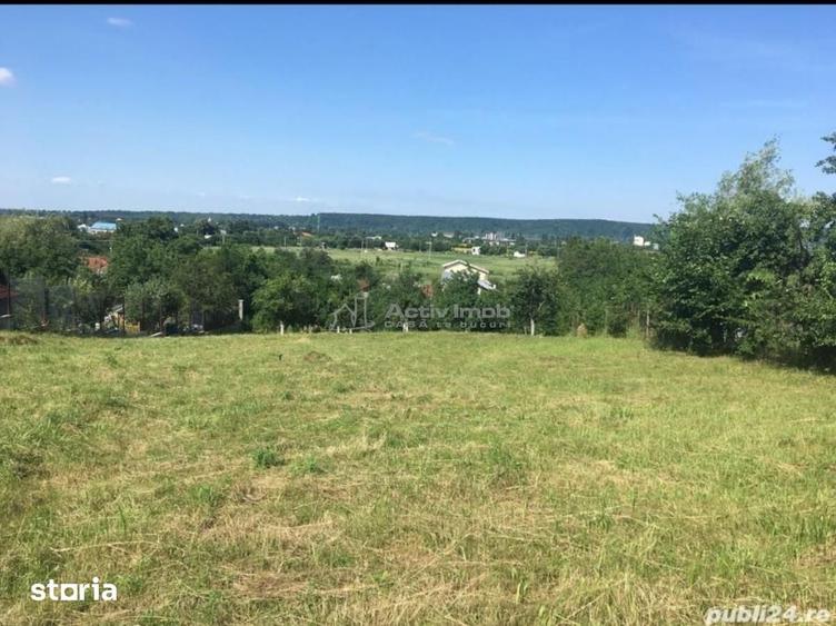 Teren de 6000 mp, în Boldești