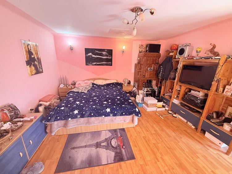 Casa interbelică cu arhitectură deosebită+Anexa și teren 1570 mp - 21