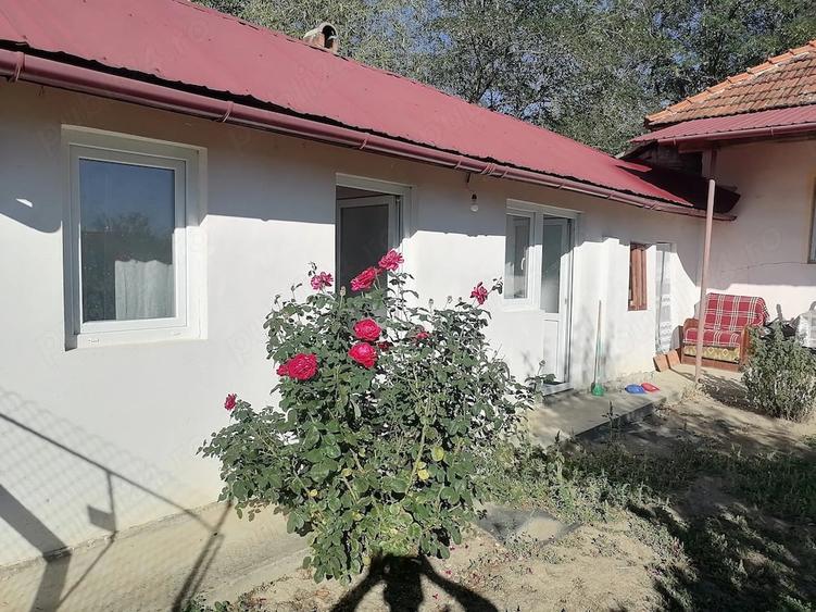 Casă cu 3 camere cu Teren 8600 Mp în Bumbești-Pițic