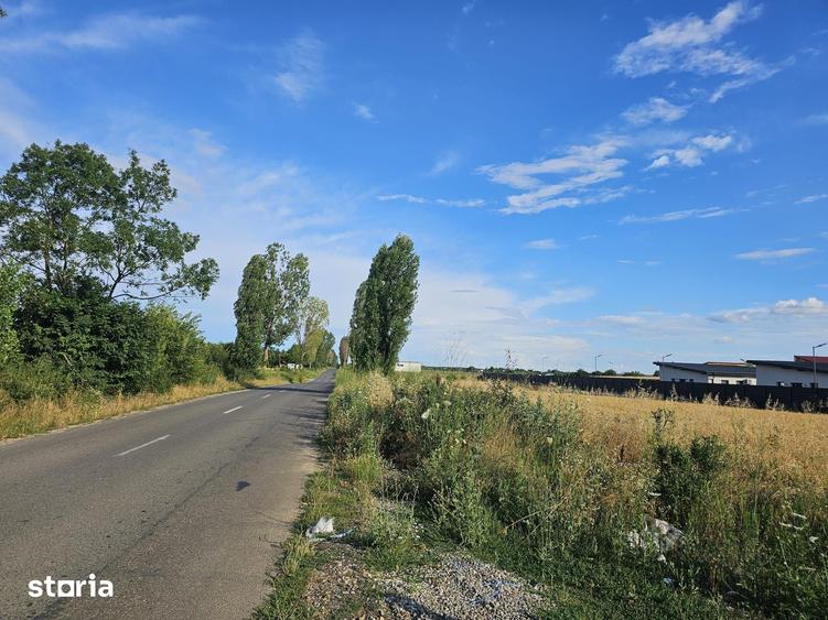 Teren de 3106.11 mp, în Ciolpani
