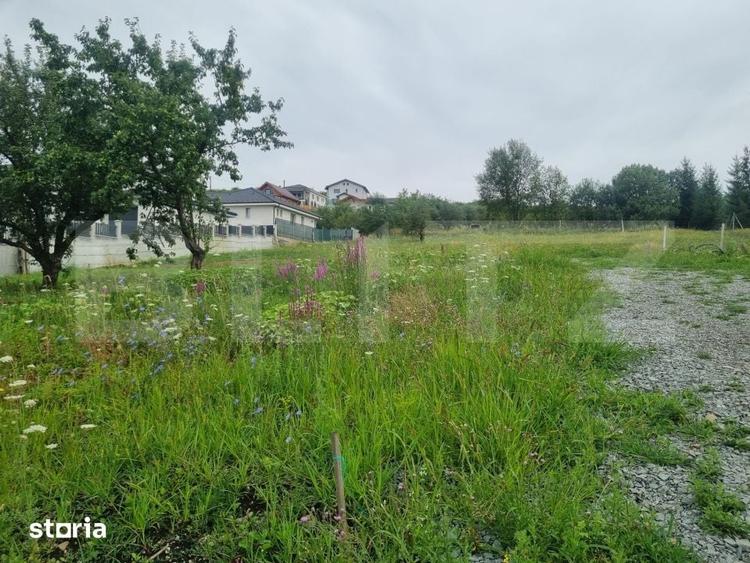 Teren 700 mp cu priveliste spre oras, disponibil si parcelat, Bistrita - 7