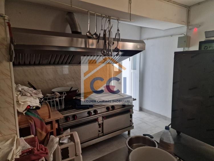 Casă individuală cu 8 camere cu Teren 4500 Mp în Măgura