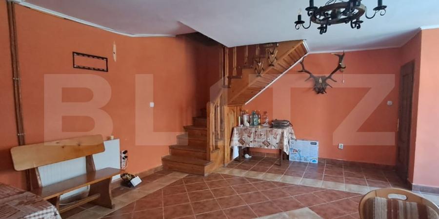 Pensiune + casă pe 5.500 mp, la poalele Munților Făgăraș – Gura-Vaii, Recea - 12