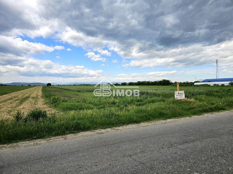 Teren agricol extravilan de 2500 mp, în Filipeștii de Târg