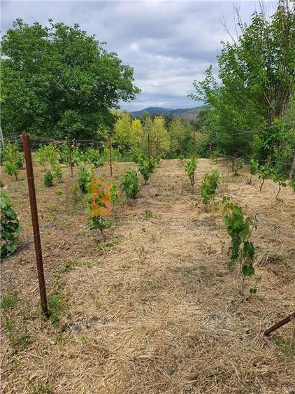 Teren intravilan de 1717 mp, în Beceni