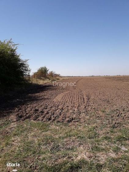 Teren intravilan de vanzare direct de la proprietar