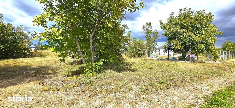 Teren intravilan Manastirea, Buftea, 500mp sau 877mp, 0% comision - 11