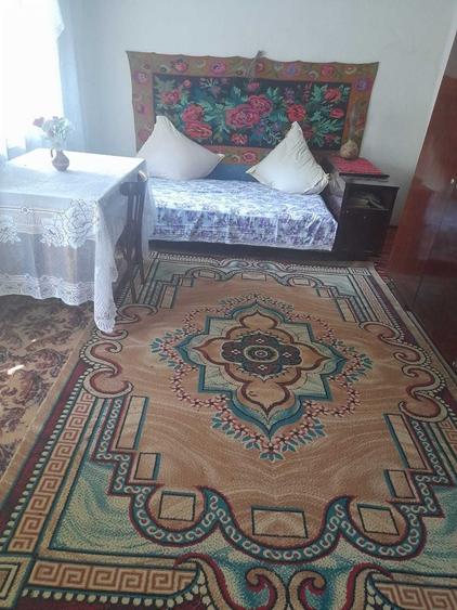 Casa sat Poiana, comuna Nicoresti, Galati - 13
