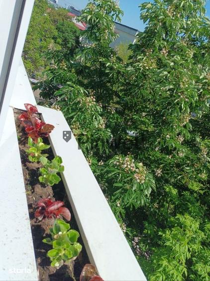 Apartament cu 2 camere decomandat în Tei