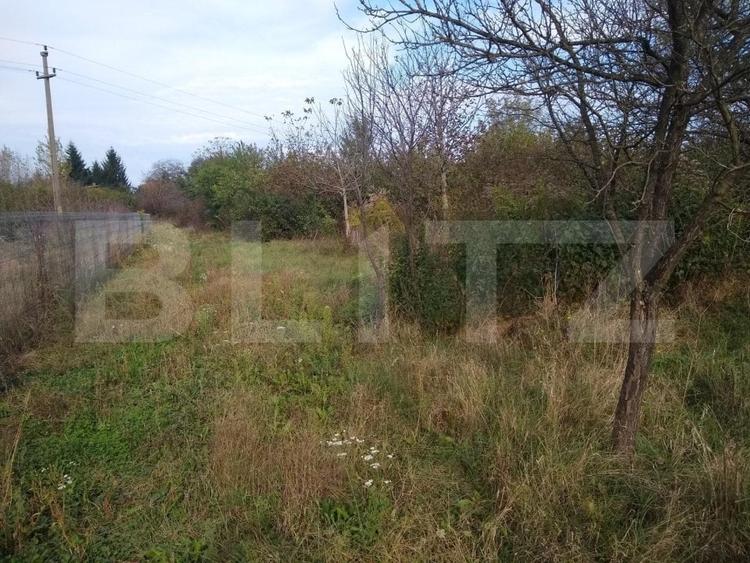 Teren Construcții intravilan de 1400 mp, în Bercu Roșu