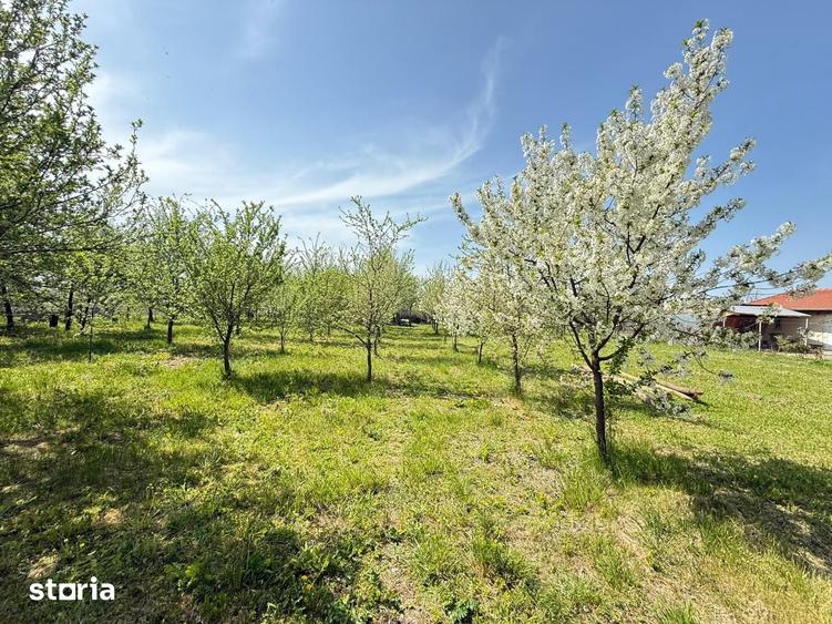 Teren de 1190 mp, în Chevereșu Mare