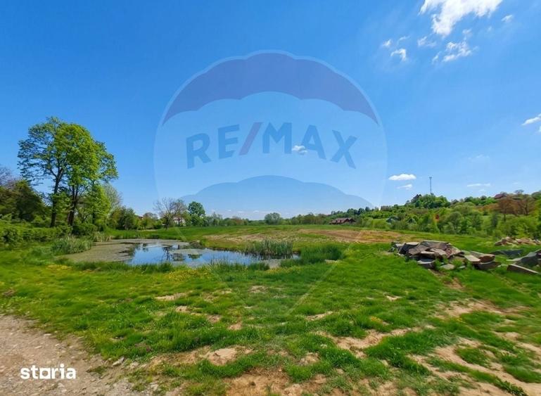 Casă cu 4 camere cu Teren 10130 Mp în Desești