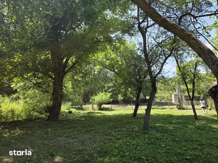 Teren de 1000 mp, în Cârjiți