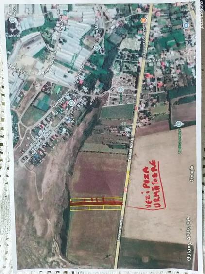 Teren de 8000 mp, în Central